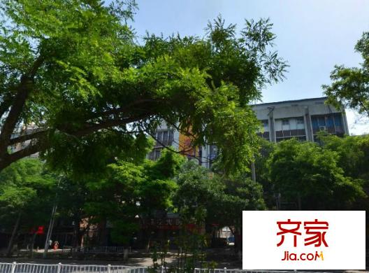 得意家