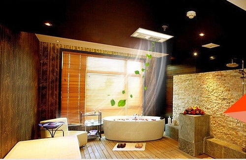 29~30家装节武峰k-ty600-y-10风暖浴霸