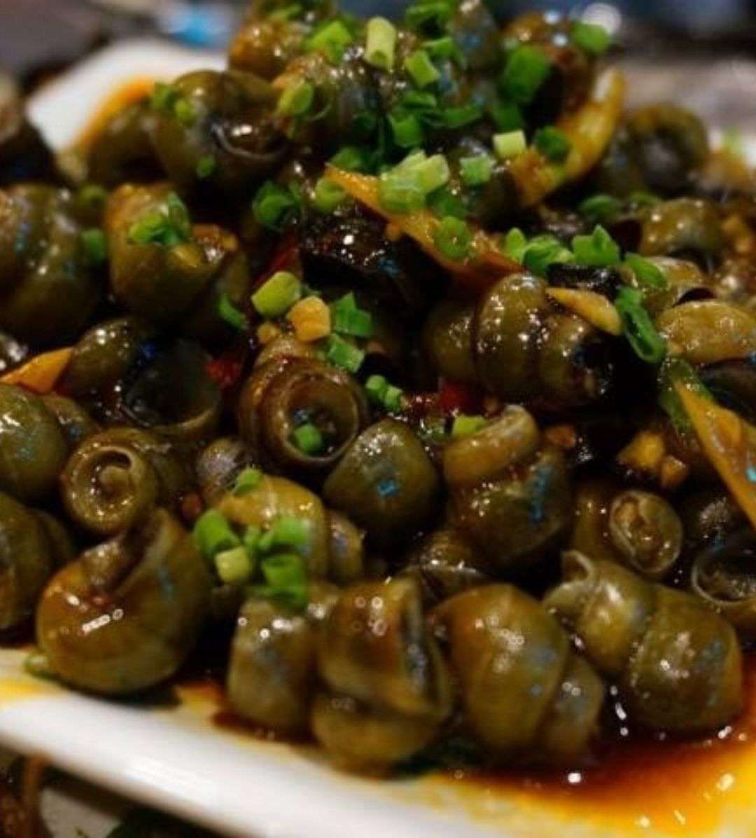 吃遍了所有地方的丝螺.还是觉得东钱湖的湖里丝螺最好吃了.-齐家网