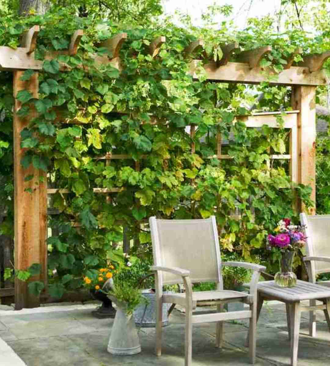 花园的角落布置的挺美,假山流水会发出动听的流水声.