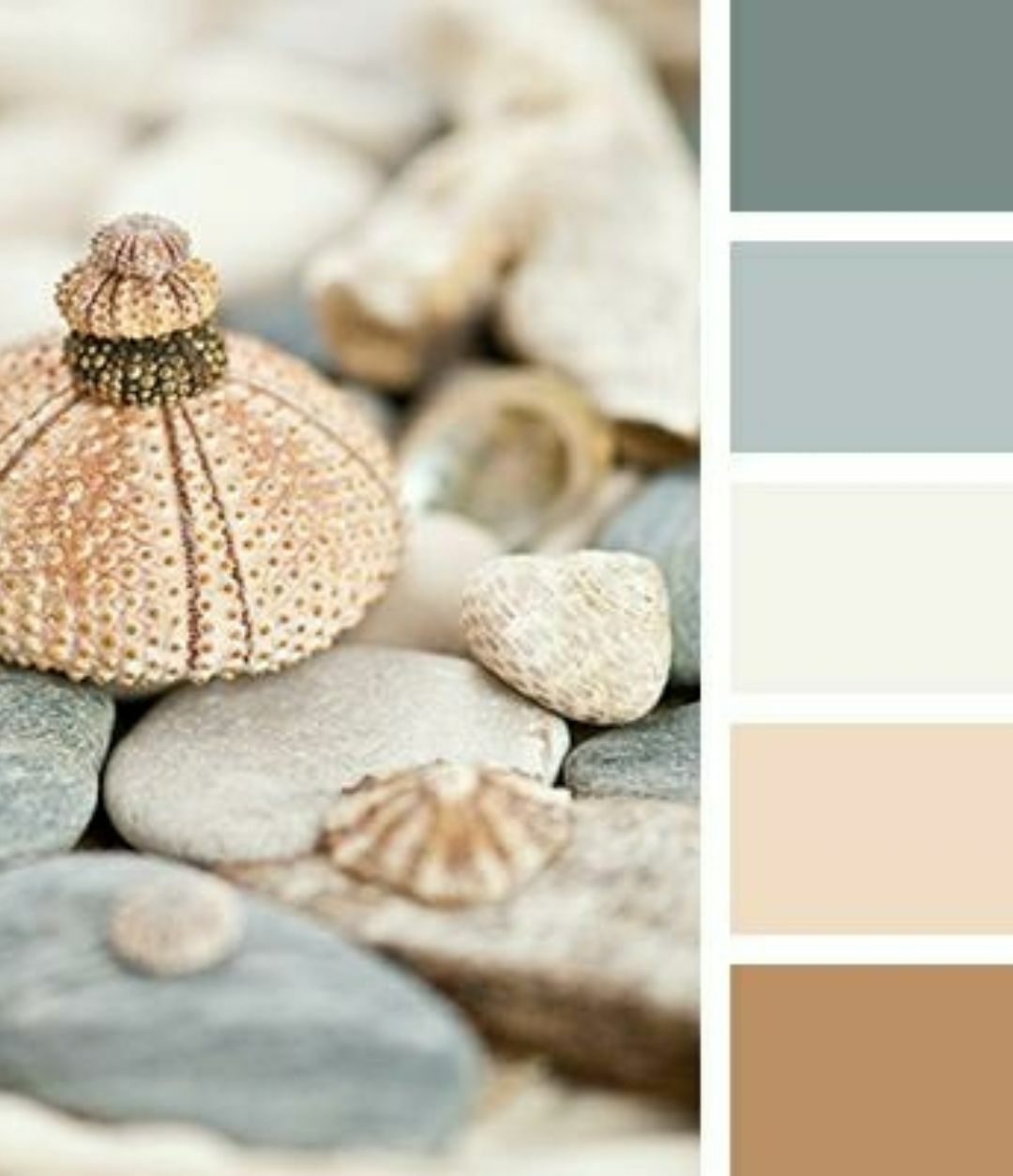 一个视觉效果背后都有一个自然色系系统去支撑所以每人都一个