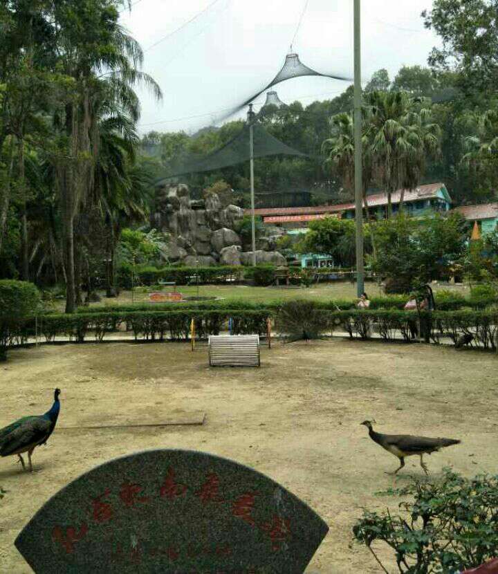 带婆婆和外甥女在福州森林公园鸟语林