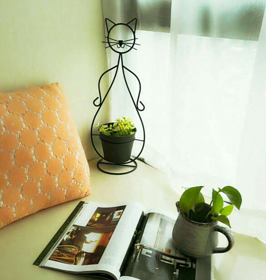 都是自家飘窗的摆设,只想给自己单调的生活增加一些调调.