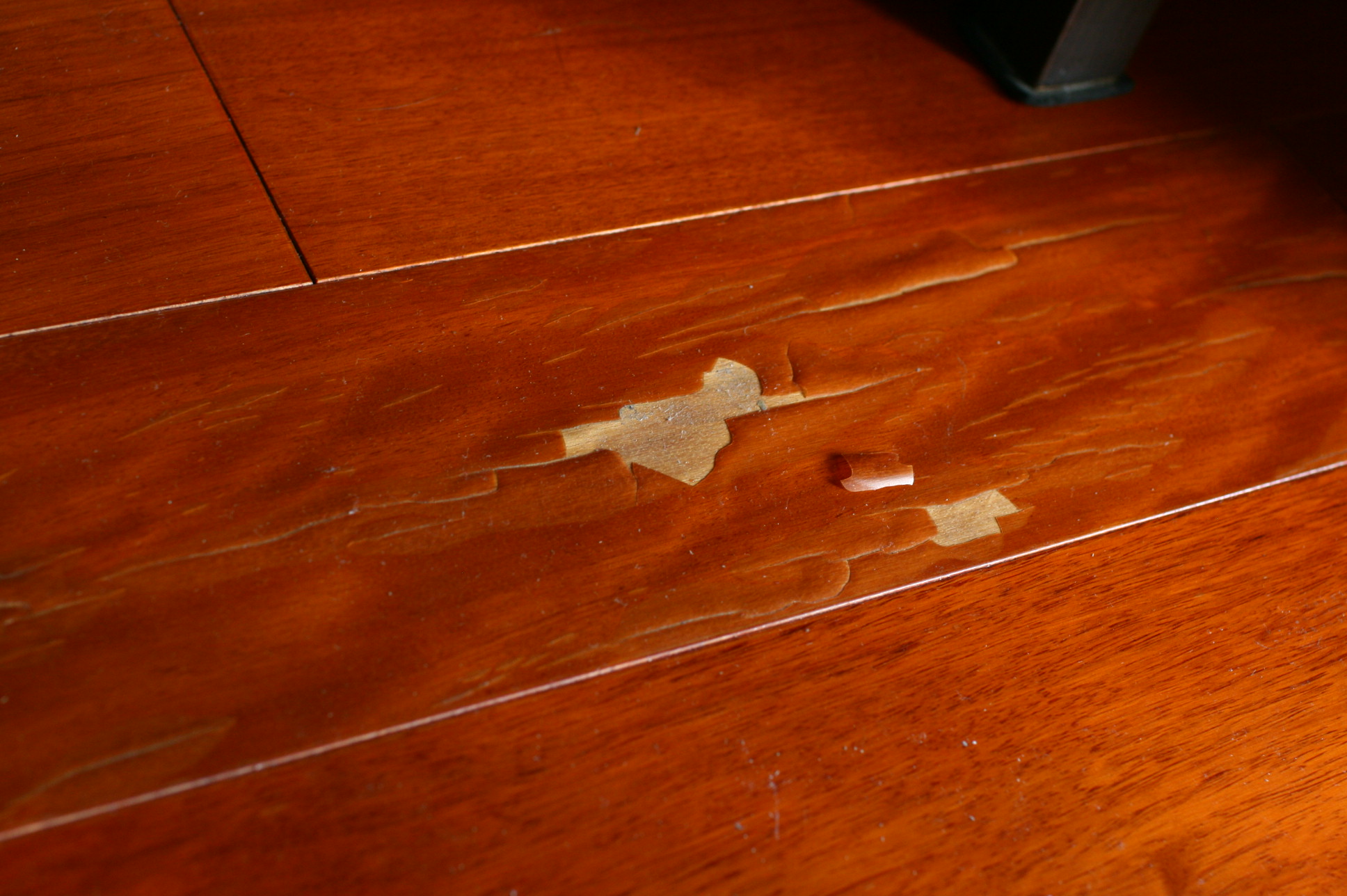 求助实木地板油漆起泡怎么办