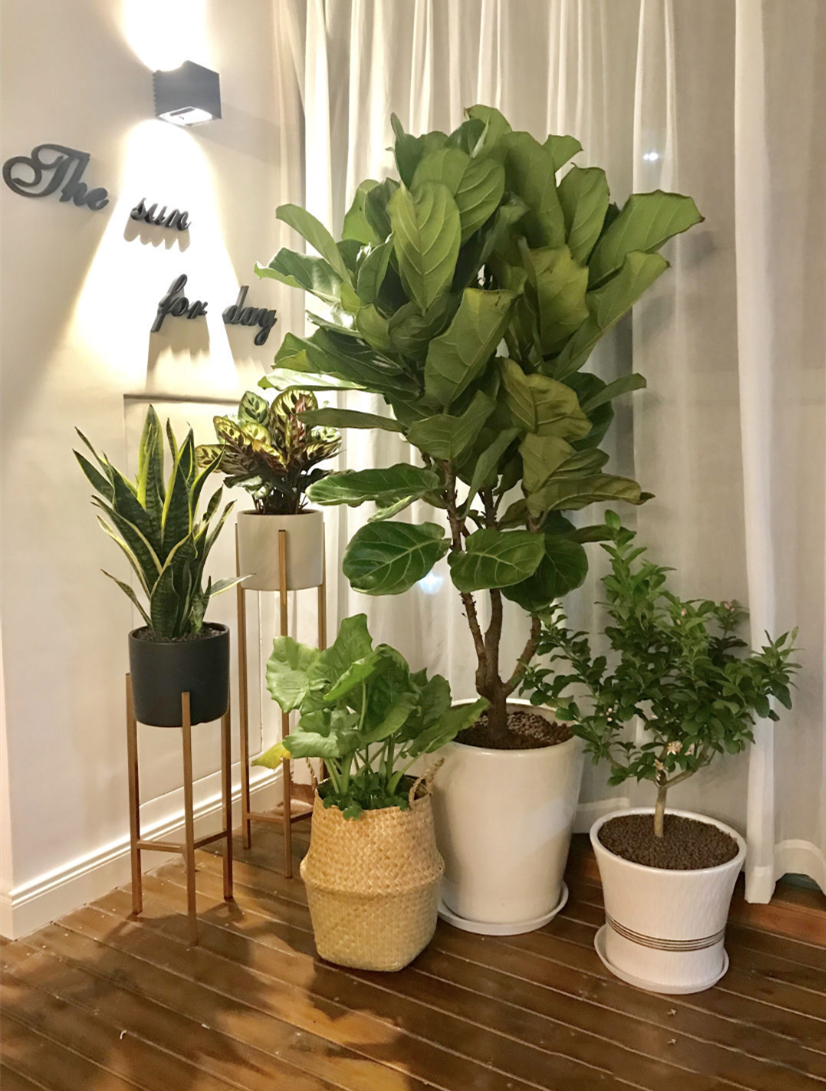 想要提升家里的格调,如何装饰?才能既省心又好看