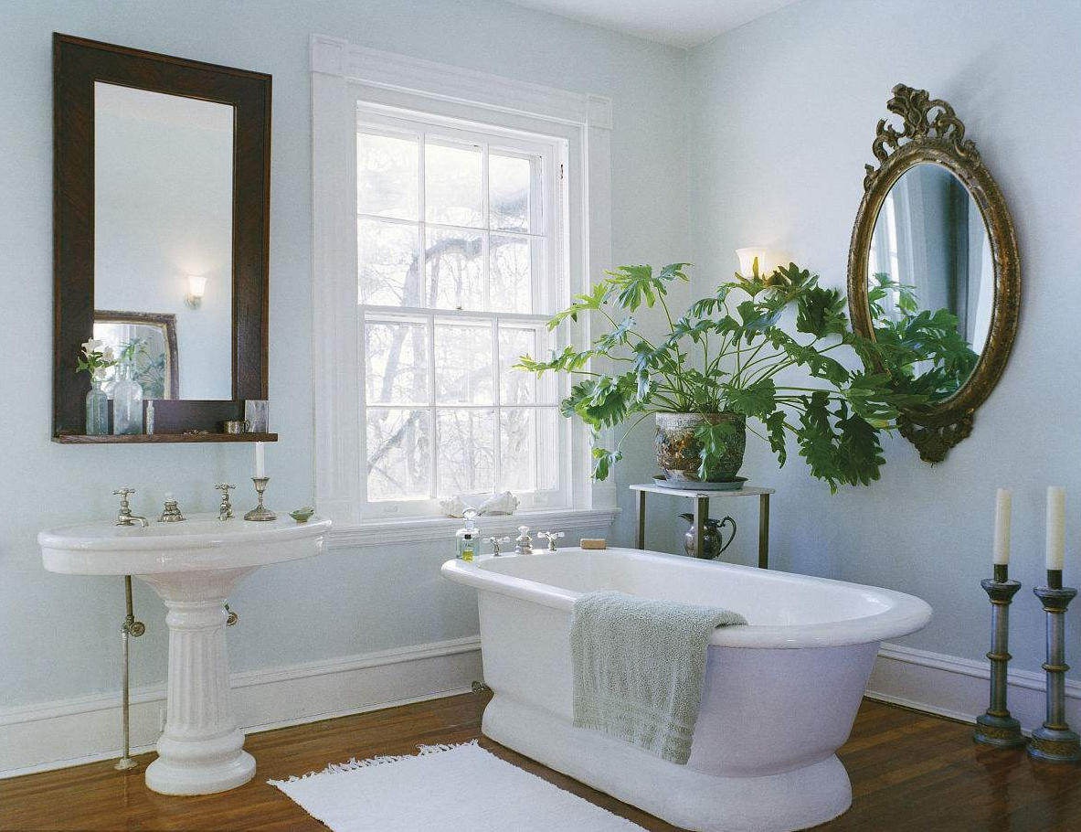 卫生间适合放什么花