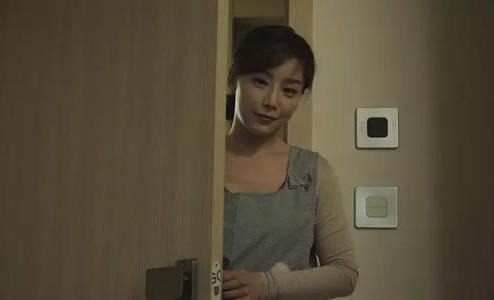 家里放一物绝对没蟑螂杀虫公司的灭蟑螂经验