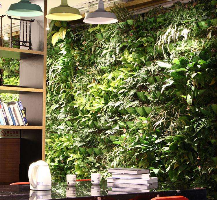 家居植物墙绿色植物编织成的墙体,既有分隔内外空间的功能,又有葱茏的