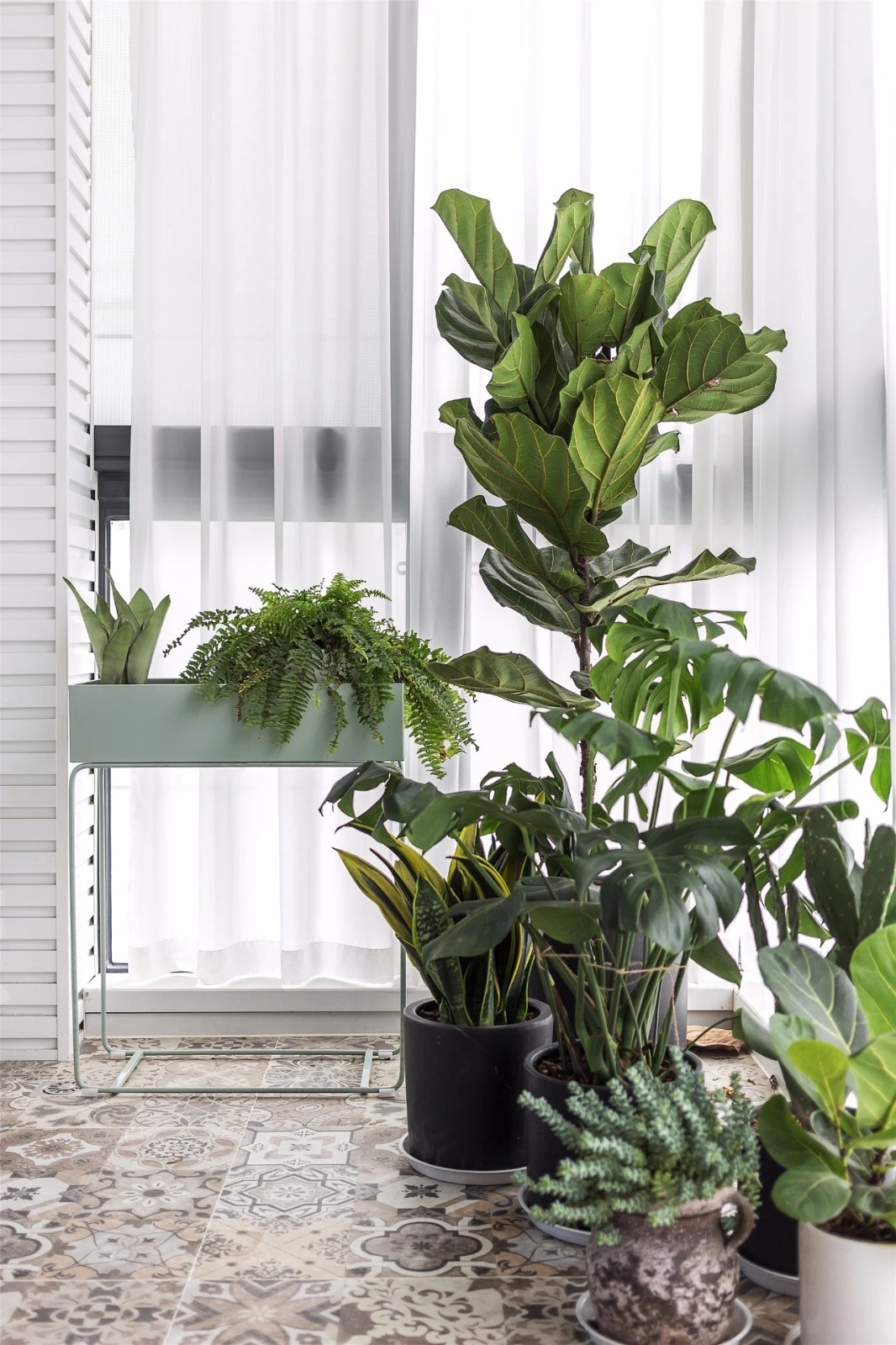 16张温馨的阳台绿植搭配