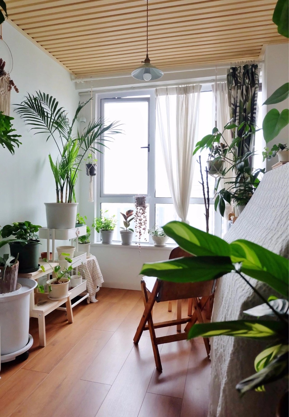 16张温馨的阳台绿植搭配