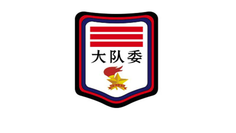 这些都是少年先锋队的标志,而小队长,中队长,大队长都是少先队大队委