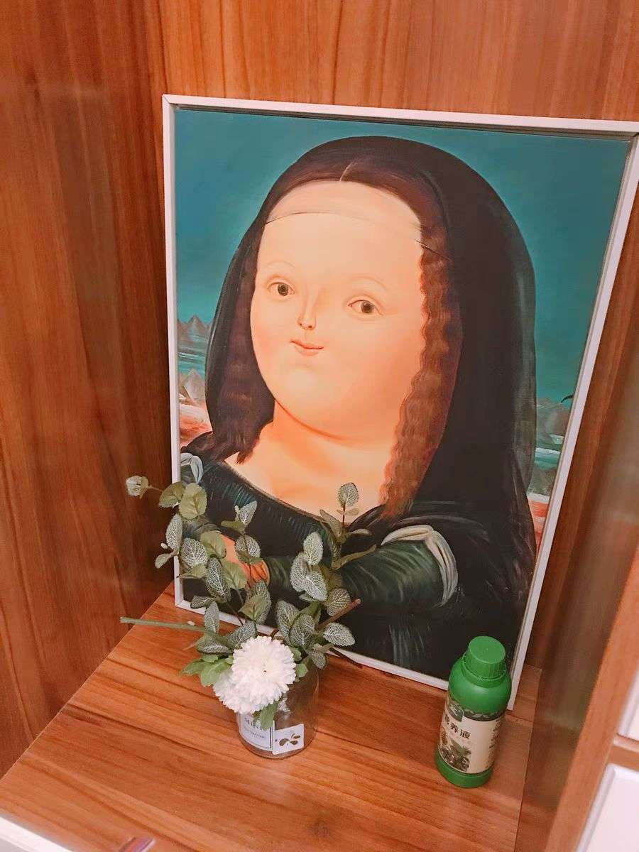 你们有见过这么胖嘟嘟的蒙娜丽莎吗不但胖嘟嘟还一点都