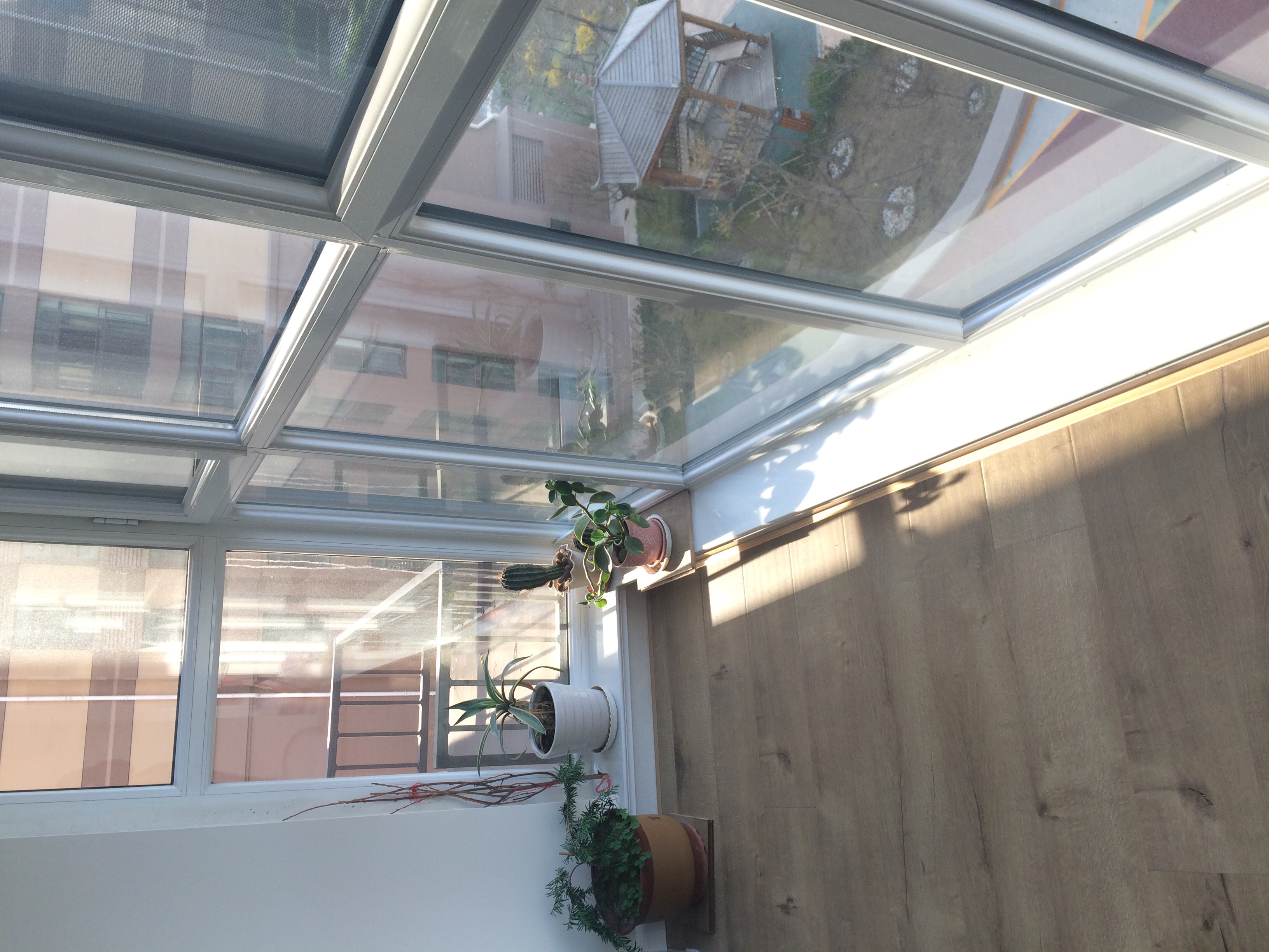 北阳台傍晚也会透进一缕阳光,心情会很好