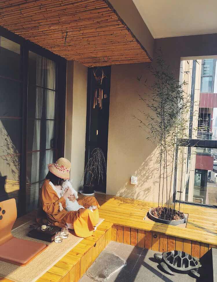 初秋的早晨,坐在阳台上晒晒太阳,很