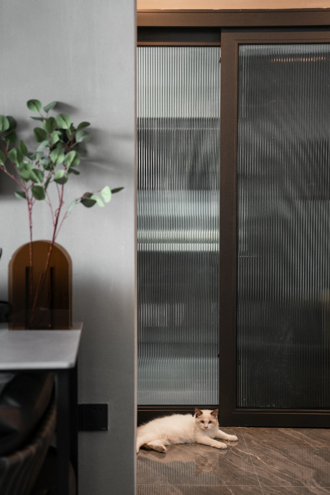 入户左侧的厨房门选用黑褐色长虹玻璃门,竖线条增添了空间的形式感