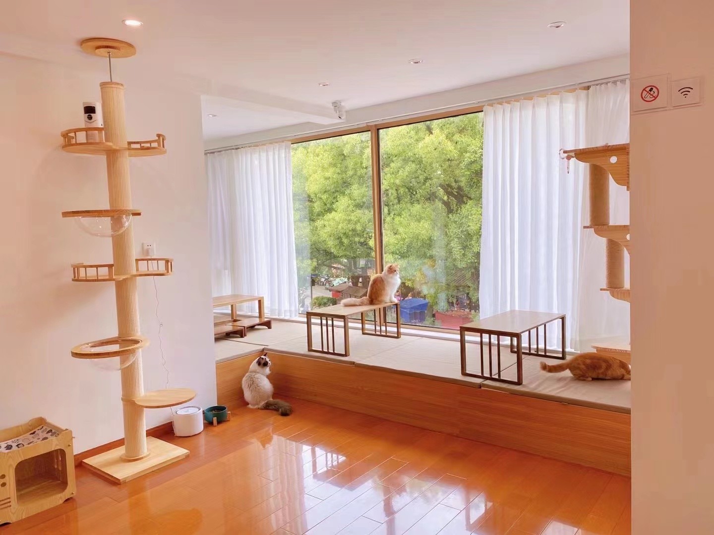 羡园街89号猫咖地址位于苏州木渎古城区,它的外建筑