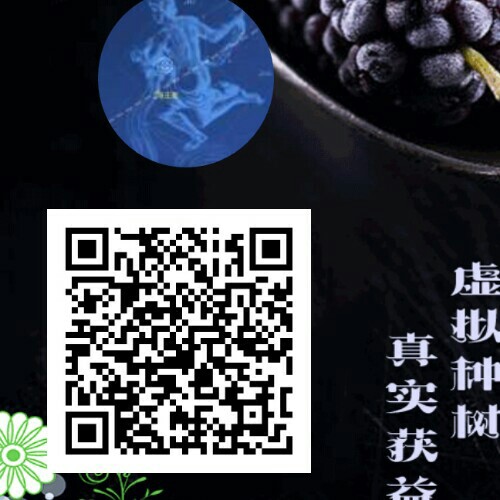 凤舞