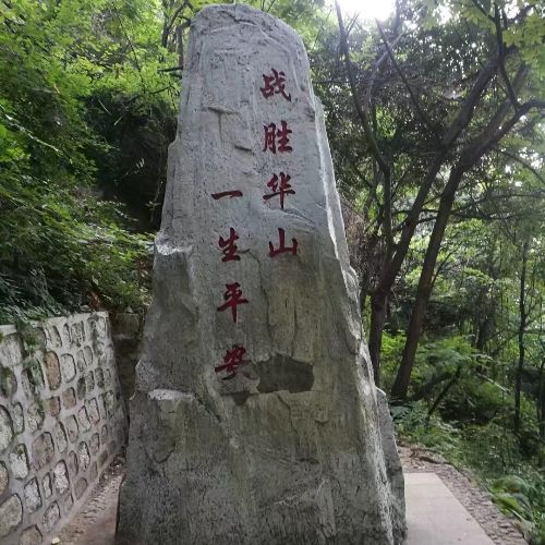 大成