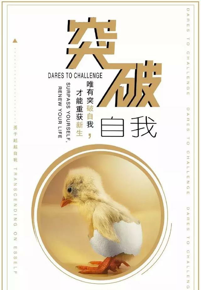 很棒的人生励志感悟送给奋斗路上的你